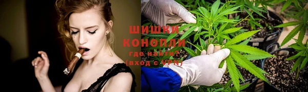 трава Богданович