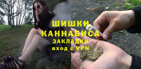стафф Богородск