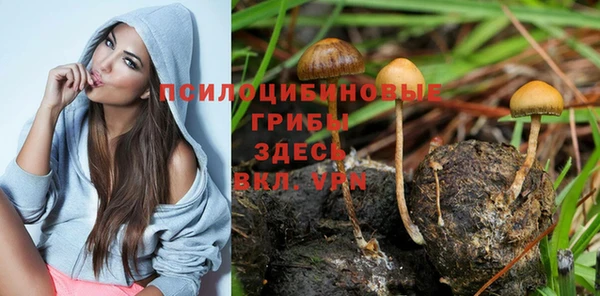 соль курить ск Богородицк