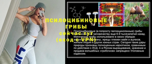 стафф Богородск