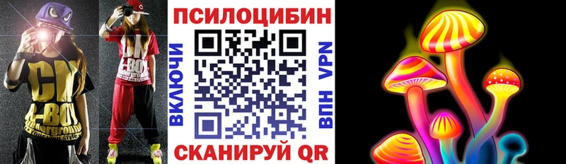 Псилоцибиновые грибы Psilocybine cubensis  Михайлов 